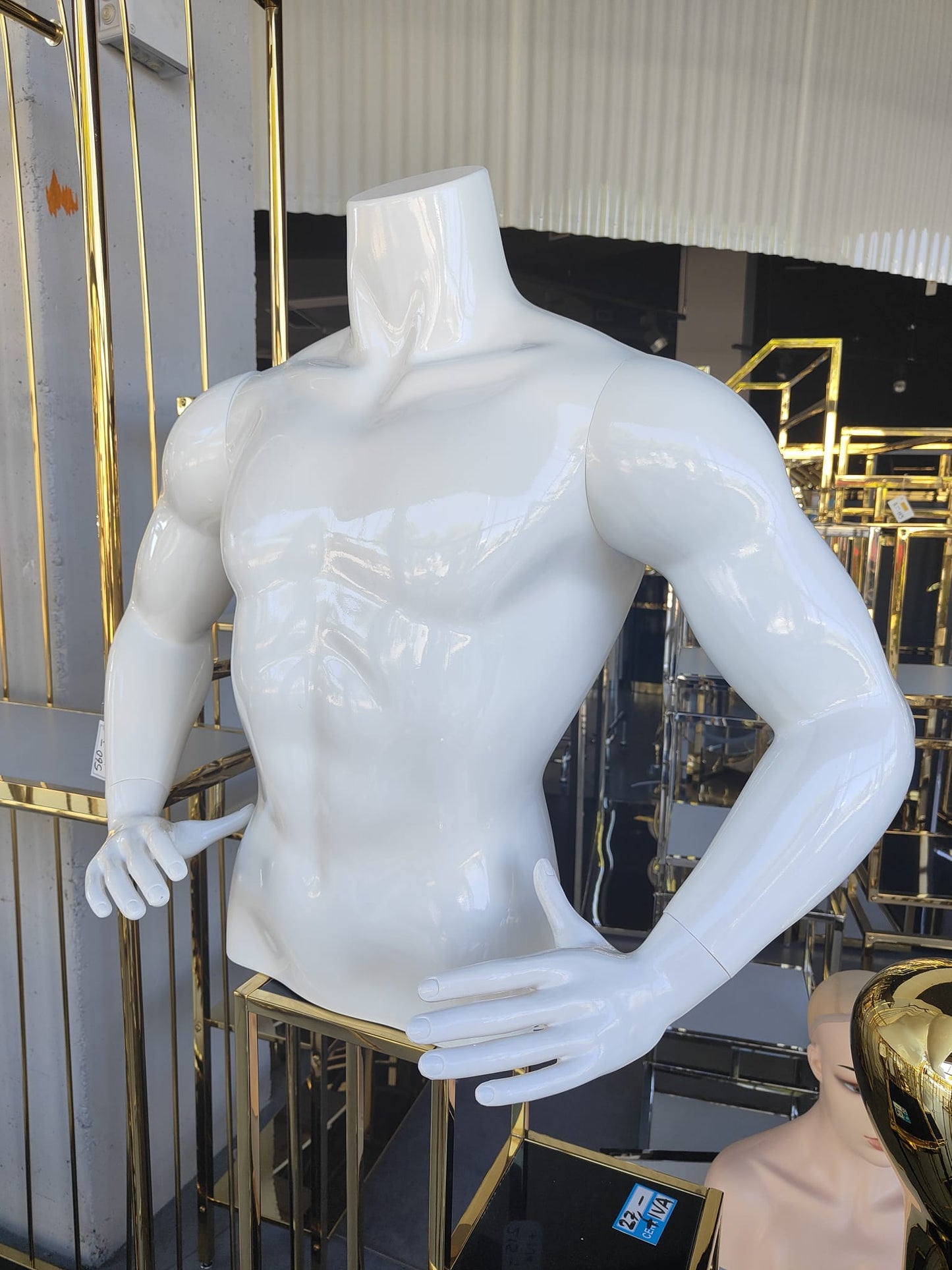 Torso hombre blanco