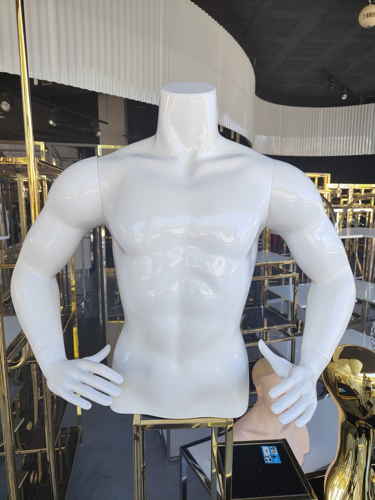 Torso hombre blanco